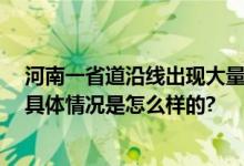 河南一省道沿线出现大量黑矿渣 村民：大车偷倒小车掩护 具体情况是怎么样的?