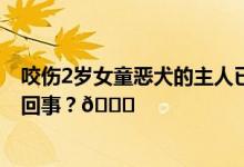 咬伤2岁女童恶犬的主人已被采取刑事强制措施 到底是怎么回事？