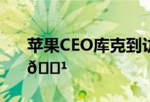 苹果CEO库克到访成都 到底是怎么回事？