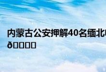 内蒙古公安押解40名缅北电诈嫌疑人归案 到底是怎么回事？