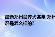 最新郑州禁养犬名单 郑州哪些狗不能养 附举报电话 具体情况是怎么样的?