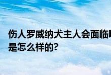 伤人罗威纳犬主人会面临哪些法律责任？专家解读 具体情况是怎么样的?