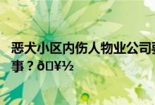 恶犬小区内伤人物业公司要担责吗？专家解读 到底是怎么回事？