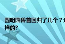 圆明园兽首回归了几个？还有几个没找到？ 具体情况是怎么样的?