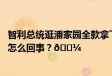 智利总统逛潘家园全款拿下国画摆件网友的评论亮了 到底是怎么回事？