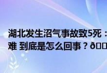 湖北发生沼气事故致5死：养殖户不慎坠入4名邻居施救时遇难 到底是怎么回事？