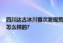 四川达古冰川首次发现荒漠猫 系中国特有物种 具体情况是怎么样的?