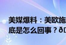 美媒爆料：美欧施压以色列推迟地面行动 到底是怎么回事？