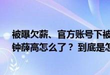 被曝欠薪、官方账号下被讨债降价也不好卖…“雪糕刺客”钟薛高怎么了？ 到底是怎么回事？