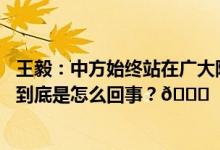 王毅：中方始终站在广大阿拉伯和伊斯兰国家正当诉求一边 到底是怎么回事？