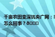 千亩农田变深坑央广网：非法取土挖穿的是监管底线 到底是怎么回事？