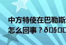 中方特使在巴勒斯坦问题峰会上发言 到底是怎么回事？