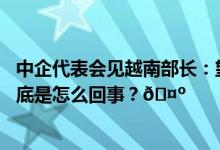 中企代表会见越南部长：望参与南北高铁等重大基建项目 到底是怎么回事？