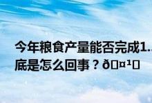 今年粮食产量能否完成1.3万亿斤目标？农业农村部回应 到底是怎么回事？