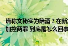 谎称文秘实为陪酒？在新加坡涉辱骂护士、警员中国女子被加控两罪 到底是怎么回事？