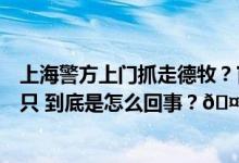 上海警方上门抓走德牧？官方：犬主人主动开门主动交出犬只 到底是怎么回事？