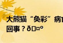 大熊猫“奂彩”病亡2022年出生 到底是怎么回事？