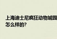 上海迪士尼疯狂动物城园区将于12月20日开幕 具体情况是怎么样的?