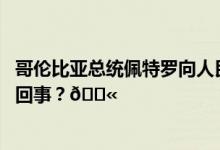 哥伦比亚总统佩特罗向人民英雄纪念碑敬献花圈 到底是怎么回事？