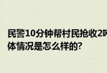 民警10分钟帮村民抢收2吨玉米 网友：真正的人民好警察 具体情况是怎么样的?