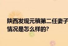 陕西发现元稹第二任妻子裴淑墓 系相伴最久正室之妻 具体情况是怎么样的?