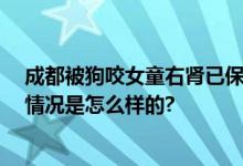 成都被狗咬女童右肾已保住 成都狗伤人事件最新消息 具体情况是怎么样的?