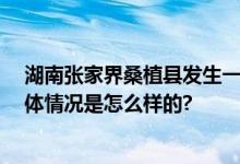 湖南张家界桑植县发生一起道路交通事故 造成两人死亡 具体情况是怎么样的?