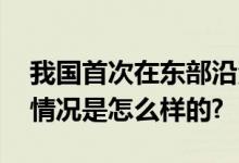 我国首次在东部沿海湿地野化放归朱鹮 具体情况是怎么样的?