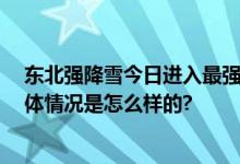 东北强降雪今日进入最强时段 南北方大面积气温创新低 具体情况是怎么样的?