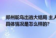 郑州鸵鸟出逃大结局 主人现身致歉：公鸵鸟“寻妻心切” 具体情况是怎么样的?