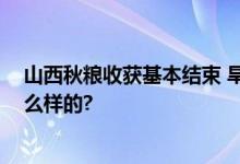 山西秋粮收获基本结束 旱地玉米单产创新高 具体情况是怎么样的?