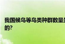 我国候鸟等鸟类种群数量呈现恢复性增长 具体情况是怎么样的?