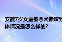 安徽7岁女童被恶犬撕咬致毁容 家属称狗主人至今没赔偿 具体情况是怎么样的?