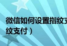 微信如何设置指纹支付优先（微信如何设置指纹支付）