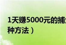 1天赚5000元的捕鱼app（手机赚钱常用的6种方法）