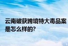 云南破获跨境特大毒品案 茶叶内藏冰毒72.65公斤 具体情况是怎么样的?