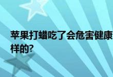 苹果打蜡吃了会危害健康?吃了不会致癌！ 具体情况是怎么样的?