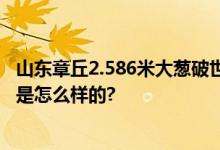 山东章丘2.586米大葱破世界纪录 有多种独特品质 具体情况是怎么样的?