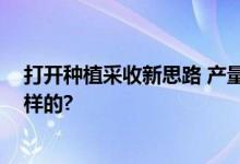 打开种植采收新思路 产量、收入节节攀升 具体情况是怎么样的?