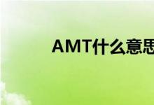 AMT什么意思（amt什么意思）