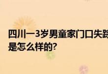 四川一3岁男童家门口失踪 家人怀疑孩子被人拐走 具体情况是怎么样的?