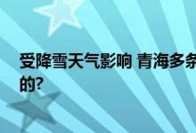 受降雪天气影响 青海多条道路交通管制 具体情况是怎么样的?