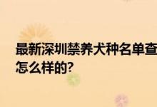 最新深圳禁养犬种名单查询 深圳哪些狗不能养 具体情况是怎么样的?