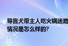 导盲犬带主人吃火锅迷路 网友：是导盲犬不是导航犬 具体情况是怎么样的?