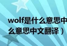 wolf是什么意思中文翻译怎么读（wolf是什么意思中文翻译）