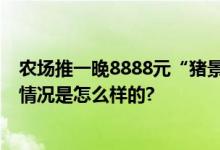 农场推一晚8888元“猪景房” 退房后可带走一只小猪 具体情况是怎么样的?