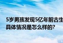 5岁男孩发现5亿年前古生物化石 网友：可能从此爱上考古 具体情况是怎么样的?