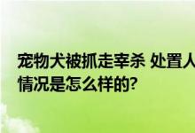 宠物犬被抓走宰杀 处置人员被行拘 事件始末最新消息 具体情况是怎么样的?