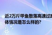 近2万斤甲鱼散落高速过路司机伸援手 现场清理近5小时 具体情况是怎么样的?