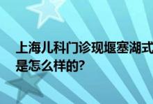 上海儿科门诊现堰塞湖式就诊 看病面临人山人海 具体情况是怎么样的?